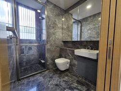 Skyline Residences (D4), Condominium #517996491